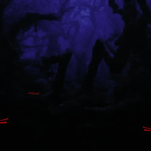 66506129798432256344486287012791126604688374872599404035245733989949781311528