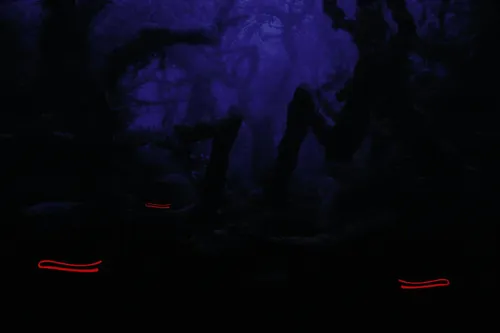 Item #66506129798432256344486287012791126604688374872599404035245733989949781311528 Media