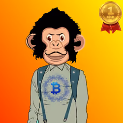 The Animals Team Gold #17