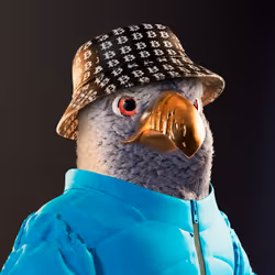 4376362664971565585737253540999175540782146014032197755264946389577231237121