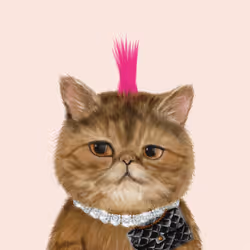 63588752515642770477067191287288803913526852218898202821012584758456619106305