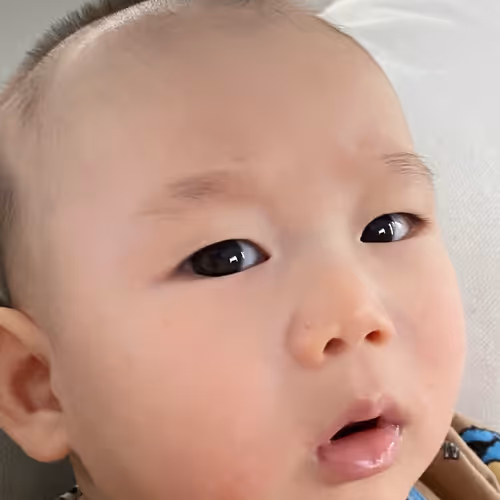 Untitled Collection #160786850