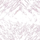 111959947651697492086722085074739668450706274475027751123383059634375691862017