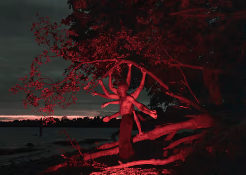 Item #27037863162219595274106965328796201644236451492369191694628585663910815727617 Media