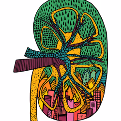 28824502245252267217549902857601847351510039266873569823091148262383969894401