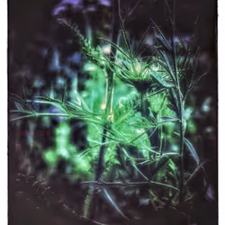 3787080761074609709675817509753112159059746763483256848434353610572966133765