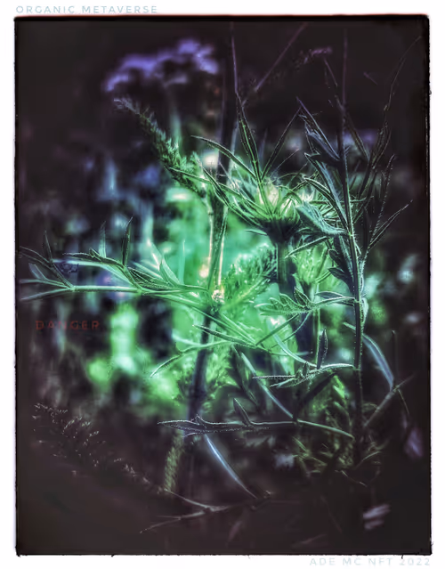 Item #3787080761074609709675817509753112159059746763483256848434353610572966133765 Media