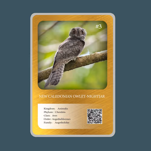 Item #20886832718642689244376634643648949640883698673827989316943493367277985726465 Media