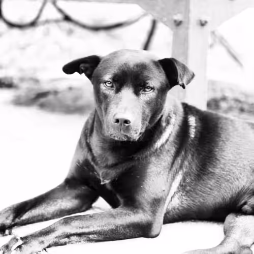 Item #105322358618701185533743754469895824107639028648078310589264470447698806308865 Media