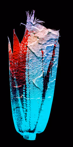 Item #25350083611604470530281593362228819369712463321341820751446110003326437294081 Media