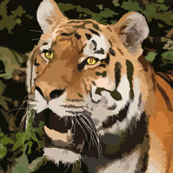 cryptiger