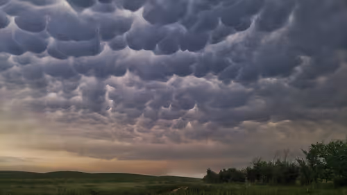 Item #115375755332542330133237168944702422006973148153706349190887072621812026179585 Media