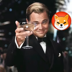 Toast to Shib