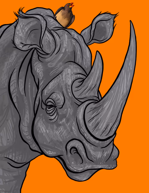 Item #60342236005163987948556802886235213316063293567500632170058184721346039119873 Media