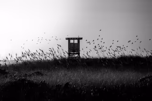 Item #87014449869533570037258101988122133423496035447680150931597385503661677871105 Media