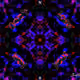 79971308870333123882251124414123028047581332546894178073511139695871842582529