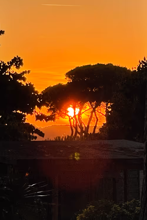 Item #106962716921335990762713992472161684452961633480742312471954214559038161551363 Media