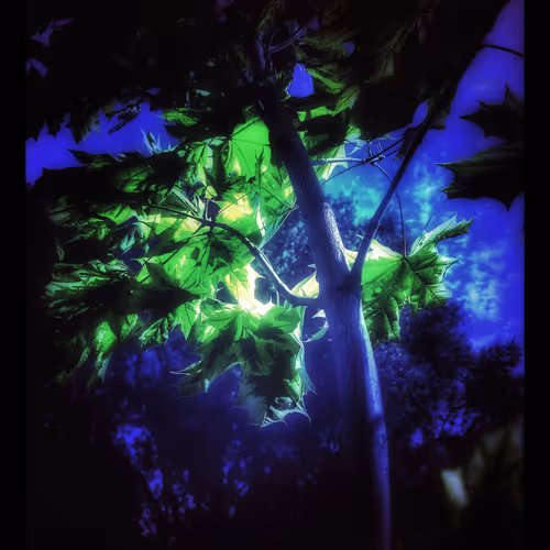 3787080761074609709675817509753112159059746763483256848434353628165152178181