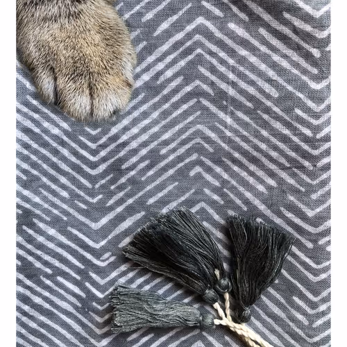 Ithinkyoushouldpaws