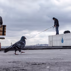 45698053960438807051727633621105073210005053048443120307747772234731752521729