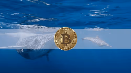 Untitled Collection #247355823