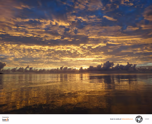 Item #75409383365909662742797353960547032942445262958910293626622653908716907134977 Media