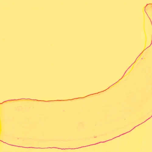 Bananadaq