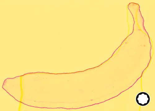 Item #83829751958947647846419200846164710754981145876737143323777831731546046857217 Media