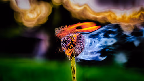 Item #24861974687471947658739840781551119956481728100967630068558069193359595929601 Media