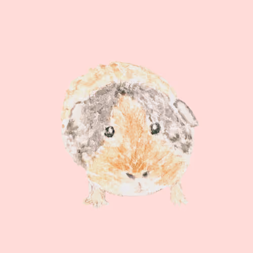 yurika-artworks Collection