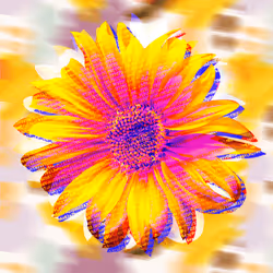To-Base64-Sunflower1