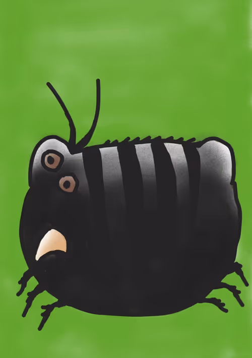 Item #22918457369383531250614081128266297112184606771778752138415731464734249058305 Media