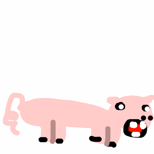 Pig