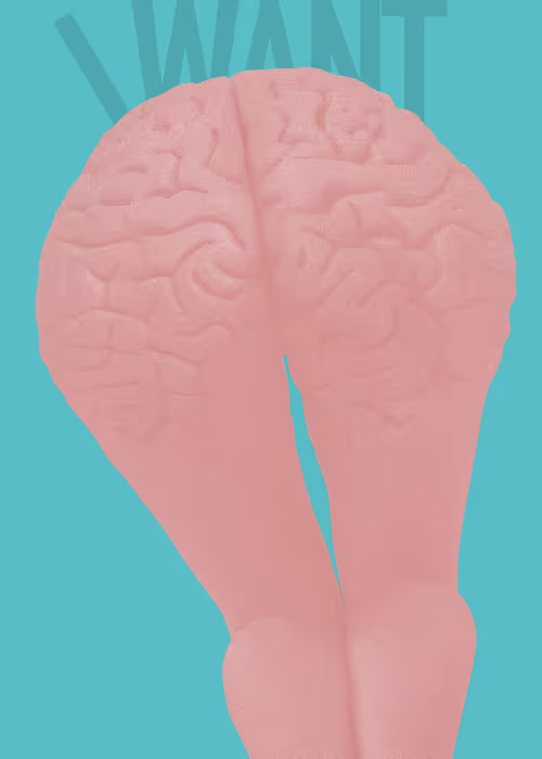 Item #99122458513745160627835571843200124246657829892034509541995695925284841717761 Media