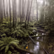 83538505058599919454584774550694157197227069330259023873087928833189007589377