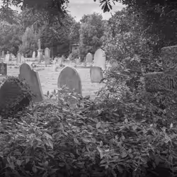 Graveyard Walks | Vol 1 | #8