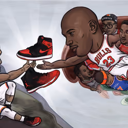 The Creation of 31
