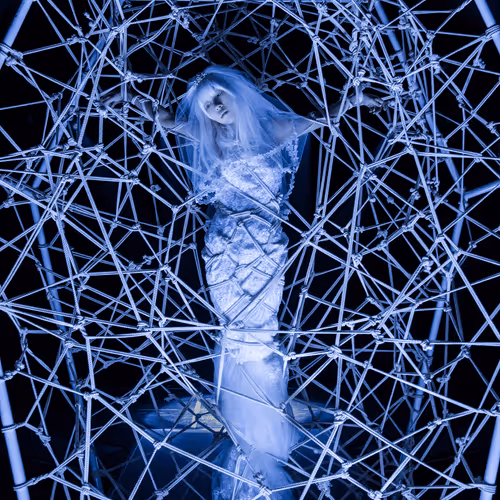 Colorful Shibari Series