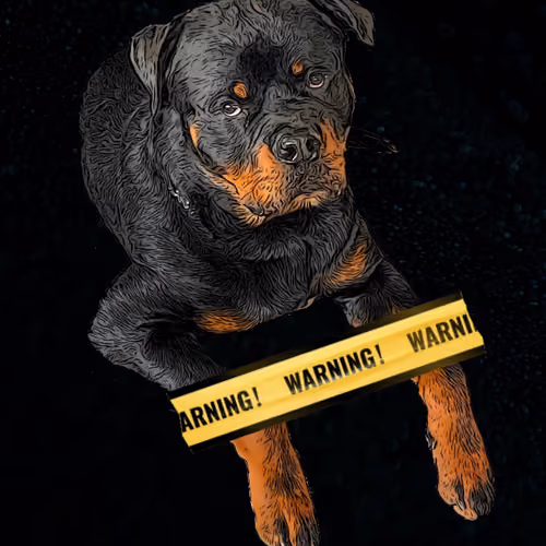 Drago_Warning