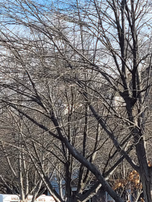 Item #61051240571971779841838649405693456424568018504308900476674196519029840019457 Media