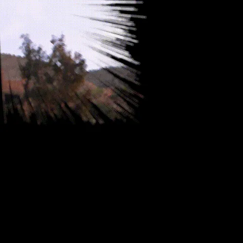 Item #26557441073993975850612271968800771132267402758105349199228567074503789641729 Media