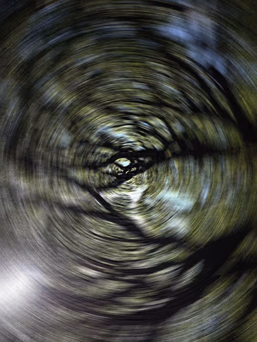 Item #44463940885722685588773399586151923865743850503519844274350657395012849893377 Media