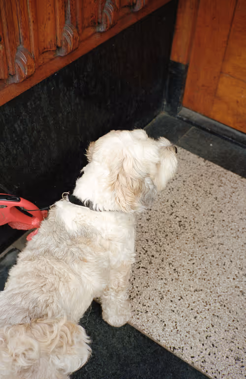 Item #64073144841343757614716512507723910140908511863865217898604629608314037075969 Media