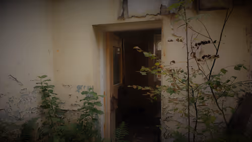 Item #13473500973687785898796463285955460631407349614781281766798596494812250112001 Media