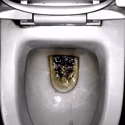 12660136923828748263426703316480839463053827608546839420335323643580854042625