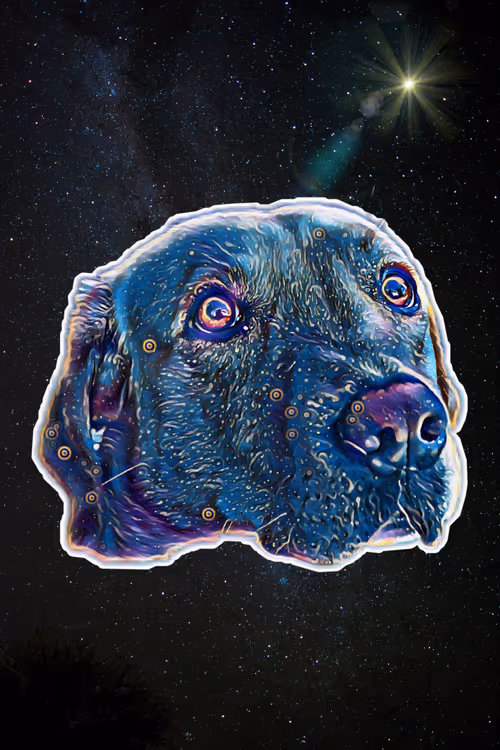 Item #26348522079904863479461241241331394809021765858560931823934972888793823051777 Media