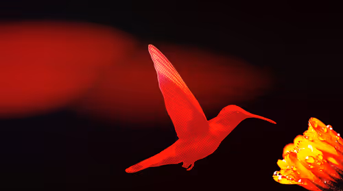 Item #5064369323868941142529800422530870608449267944386714411348494308787615694849 Media