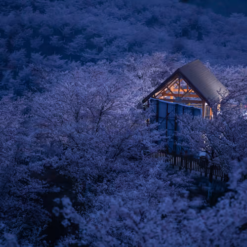 silence dream