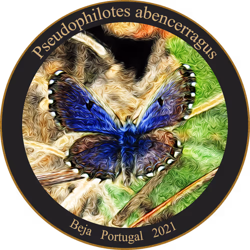 Item #83346383481971607988729477170446348570292642791419063456680174149502366646273 Media