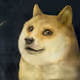42507462484339698091874843487695778481102036670390906441558302359564029263873